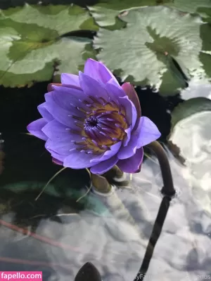 kimorasvenus thumbnail #1961736