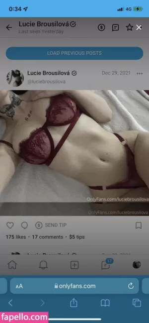 luciebrousilova thumbnail #2028097