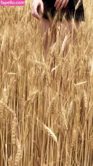 sowa-valeri thumbnail #1320453